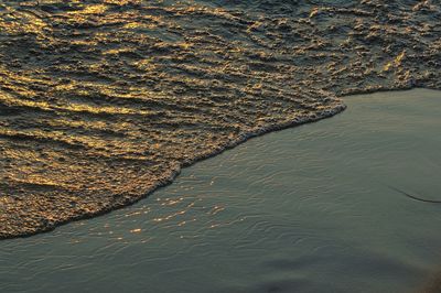 Scenic view of sea