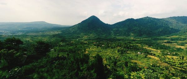 Scenic view of tree mountains against sky