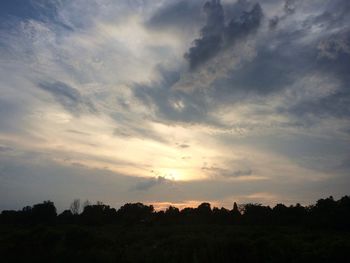 Silhouette trees on field against sky at sunset