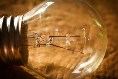 Close-up of light bulb on table