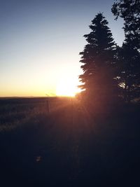 Silhouette trees on field against clear sky during sunset