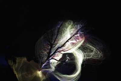 Digital composite image of light painting against black background