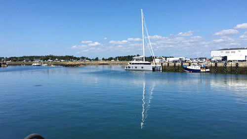 Sailboats moored in sea against blue sky