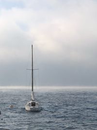 Sailboat sailing on sea against sky