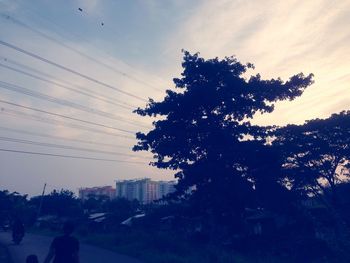 Silhouette tree by city against sky at sunset