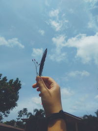 Low angle shot of a girl holding a feather and a flower to the sky