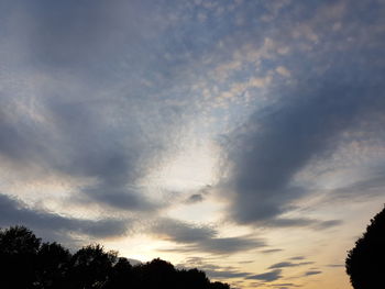 Low angle view of silhouette trees against sky during sunset