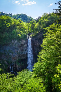 Scenic view of waterfall against trees in forest