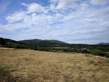 Scenic view of field against sky