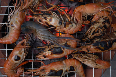 High angle view of fish in market