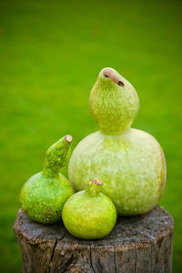 Close-up of apple on tree