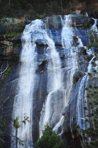 View of waterfall in forest