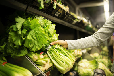 Cropped hand of woman buying lettuce