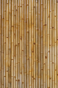 Full frame shot of bamboos