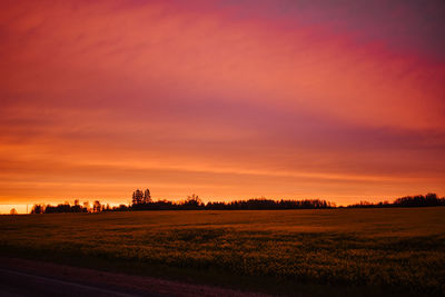 Scenic view of field against sky during sunset