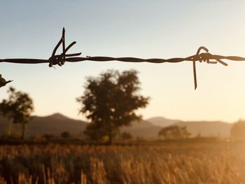 Close-up of barbed wire on field against sky