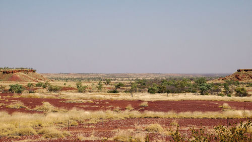 Scenic view of field against clear sky