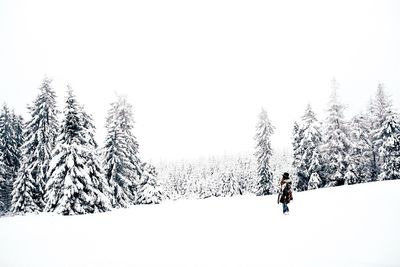 Low angle view of man climbing tree