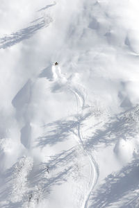 Aerial photo of adult woman backcountry powder skiing in the kootenays, b.c., canada