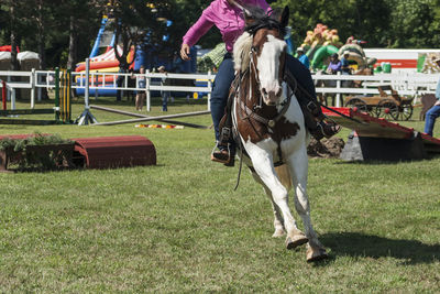 View of people riding horse on field