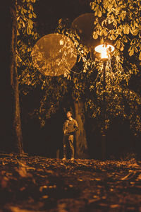 Boy standing by illuminated tree at night