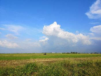 Scenic view of agricultural field against sky