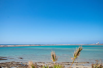 Scenic view of sea against clear blue sky