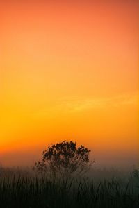 Silhouette trees on landscape against romantic sky at sunset