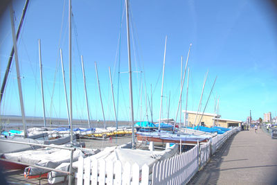 Boats moored at harbor