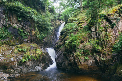 Scenic view of waterfall