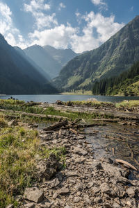 Driftwoods in lake against mountains