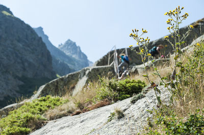 Man with horse on mountain against clear sky