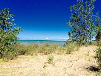 Scenic view of sea against clear blue sky