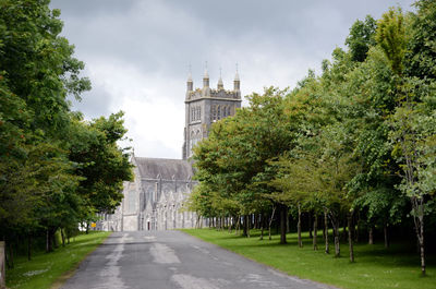 Road amidst trees against mount melleray abbey