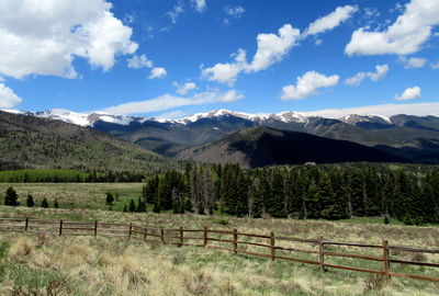 Snow-capped mountains in background