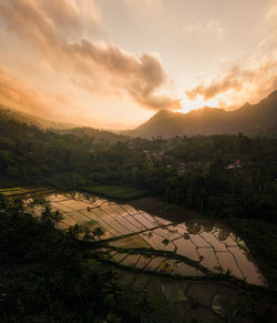 High angle view of field against sky during sunset