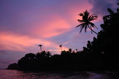 Silhouette palm trees by sea against sky during sunset