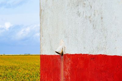 Close-up of red flowering plant on field against sky