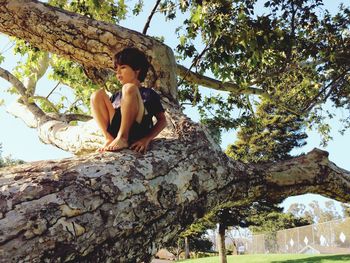 Low angle view of woman sitting on tree against sky