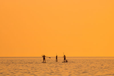 Tourist in the summer on the adriatic sea paddleboarding