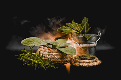 Close-up of leaves against black background