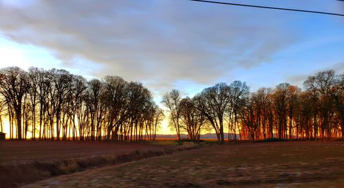 Scenic view of trees against sky during sunset