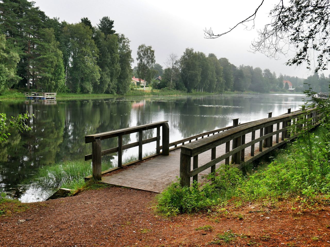 water, tree, lake, tranquility, tranquil scene, scenics, beauty in nature, nature, sky, idyllic, growth, calm, day, outdoors, no people, plant, jetty, the way forward, lakeshore, non-urban scene, remote, grass, non urban scene, rippled, green color