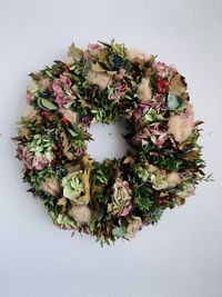 Directly above shot of flowering plant against white background