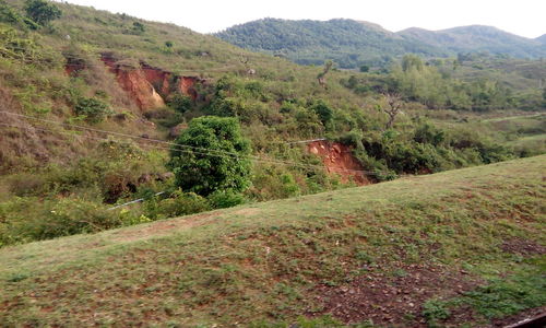 Scenic view of landscape