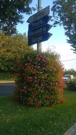 Information sign on tree