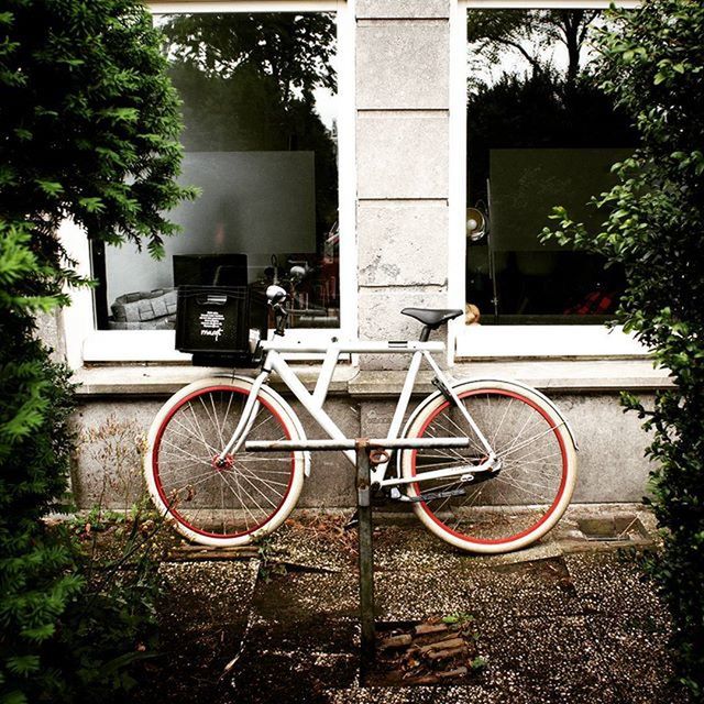 bicycle, mode of transport, land vehicle, transportation, building exterior, tree, stationary, parked, built structure, parking, architecture, house, outdoors, day, plant, sunlight, residential structure, street, leaning, no people