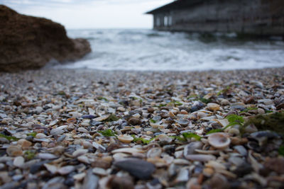 Surface level of pebble beach