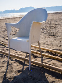 Close-up of horse on beach against sky