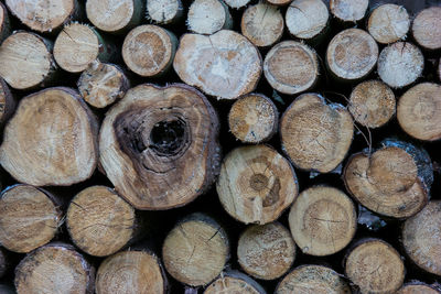 Full frame shot of logs in forest